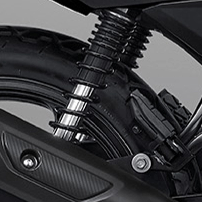 Adjustable Dual Rear Suspension