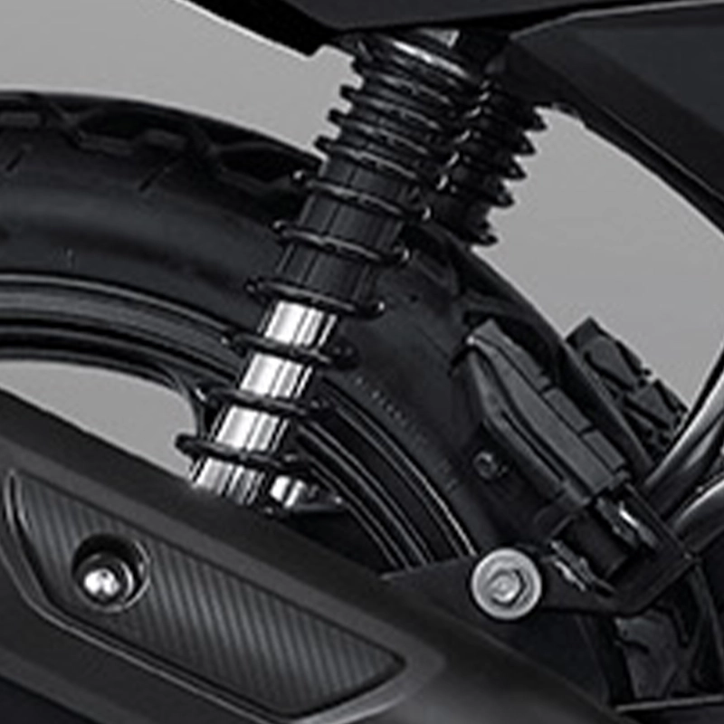 Adjustable Dual Rear Suspension