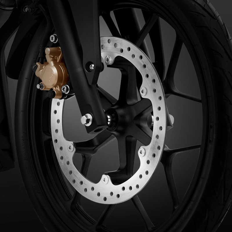 Front and Rear Disc Brake