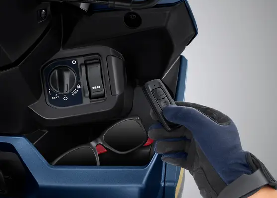 Smart Key System (Keyless):